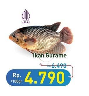 Promo Harga Ikan Gurame per 100 gr - Hypermart