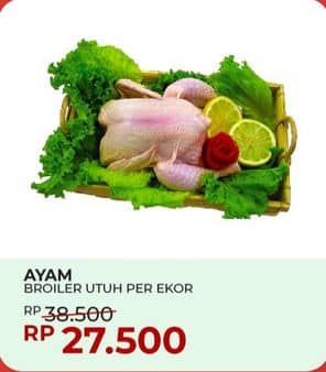 Promo Harga Ayam Broiler 900 gr - Yogya
