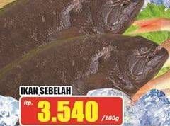 Promo Harga Ikan Sebelah per 100 gr - Hari Hari