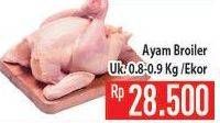 Promo Harga Ayam Broiler  - Hypermart