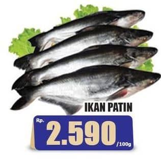 Promo Harga Ikan Patin per 100 gr - Hari Hari