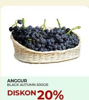 Promo Harga Anggur Black Autumn per 500 gr - Yogya