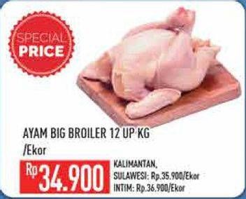 Promo Harga Ayam Broiler Big  - Hypermart