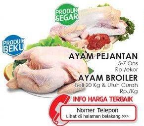Promo Harga Ayam Pejantan / Ayam Broiler  - Lotte Grosir
