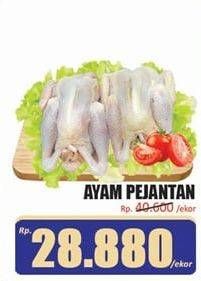 Promo Harga Ayam Pejantan 500 gr - Hari Hari