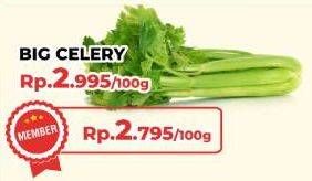 Promo Harga Daun Seledri Besar per 100 gr - Yogya