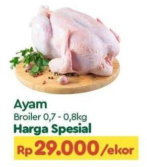 Promo Harga Ayam Broiler 700 gr - TIP TOP