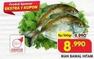 Promo Harga Ikan Bawal Hitam per 100 gr - Superindo