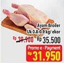 Promo Harga Ayam Broiler 800 gr - Hypermart