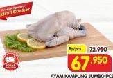 Promo Harga Ayam Kampung  - Superindo