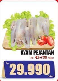 Promo Harga Ayam Pejantan 500 gr - Hari Hari