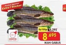 Promo Harga Ikan Gabus per 100 gr - Superindo