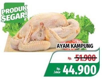 Promo Harga Ayam Kampung 600 gr - Lotte Grosir