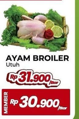 Promo Harga Ayam Broiler 500 gr - Yogya