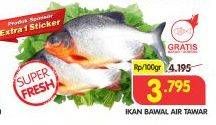 Promo Harga Ikan Bawal Tawar per 100 gr - Superindo