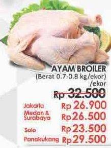 Promo Harga Ayam Broiler  - LotteMart