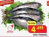 Promo Harga Ikan Tongkol per 100 gr - Superindo