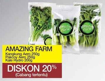Promo Harga AMAZING FARM Salad Kangkung, Pakcoy, Kale Hydro 250 gr - Yogya