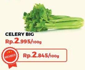 Promo Harga Daun Seledri per 100 gr - Yogya