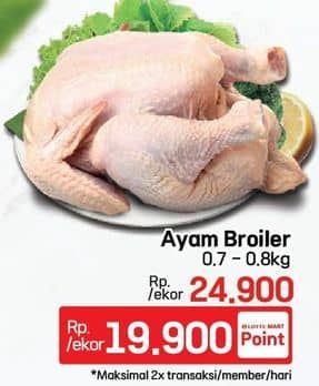 Promo Harga Ayam Broiler 700 gr - LotteMart