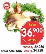 Promo Harga Ayam Kampung  - Superindo