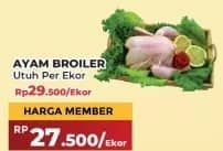 Promo Harga Ayam Broiler 900 gr - Yogya