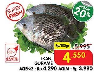 Promo Harga Ikan Gurame per 100 gr - Superindo