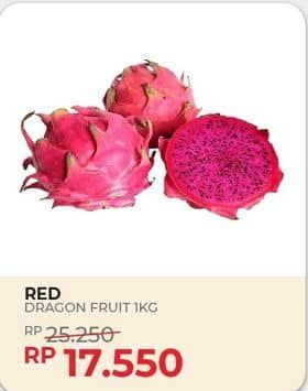 Promo Harga Buah Naga Merah  - Yogya