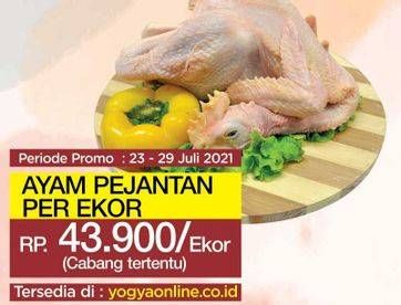 Promo Harga Ayam Pejantan  - Yogya