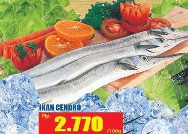 Promo Harga Ikan Cendro per 100 gr - Hari Hari