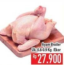 Promo Harga Ayam Broiler  - Hypermart