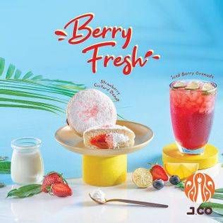 Promo Harga JCO Berry Fresh   - JCO