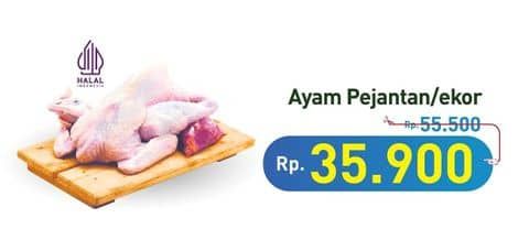 Promo Harga Ayam Pejantan 500 gr - Hypermart