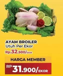 Promo Harga Ayam Broiler 900 gr - Yogya