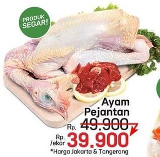 Promo Harga Ayam Pejantan 500 gr - LotteMart