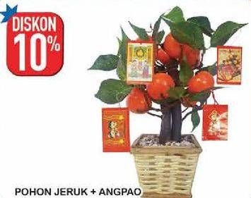 Promo Harga Pohon Jeruk + Angpao  - Hypermart