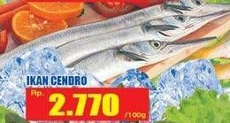 Promo Harga Ikan Cendro per 100 gr - Hari Hari