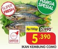 Promo Harga Ikan Kembung Como per 100 gr - Superindo