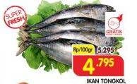 Promo Harga Ikan Tongkol per 100 gr - Superindo