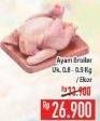 Promo Harga Ayam Broiler 800 gr - Hypermart