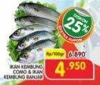 Promo Harga Ikan Kembung Como, Banjar per 100 gr - Superindo