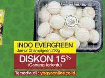 Promo Harga Jamur Champignon (Jamur Kancing) 250 gr - Yogya