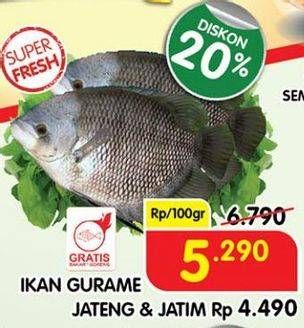 Promo Harga Ikan Gurame per 100 gr - Superindo