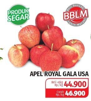 Promo Harga Apel Royal Gala USA  - Lotte Grosir