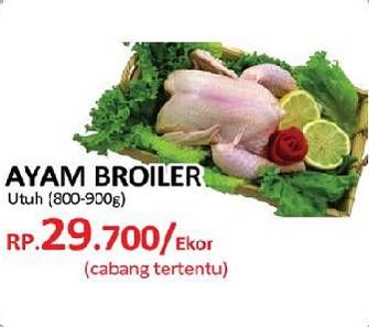 Promo Harga Ayam Broiler  - Yogya