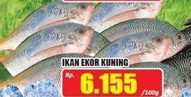 Promo Harga Ikan Ekor Kuning per 100 gr - Hari Hari