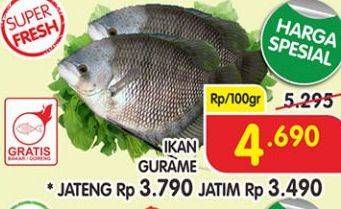 Promo Harga Ikan Gurame per 100 gr - Superindo