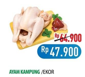 Promo Harga Ayam Kampung 500 gr - Hypermart