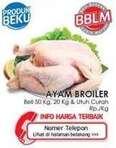 Promo Harga Ayam Broiler per 50 kg - LotteMart