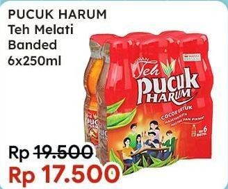 Promo Harga Teh Pucuk Harum Minuman Teh Jasmine 250 ml - Indomaret